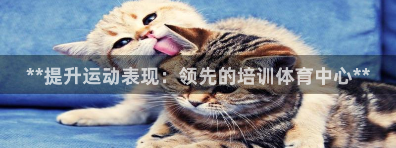 富联平台官网登录不了：**提升运动表现：领先的培训体育中心*