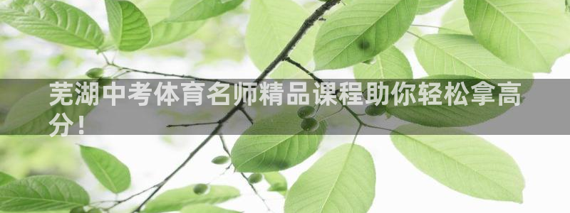 富联是什么板块：芜湖中考体育名师精品课程助你轻松拿高