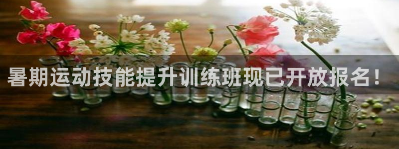 富联平台用户登陆不上：暑期运动技能提升训练班现已开放